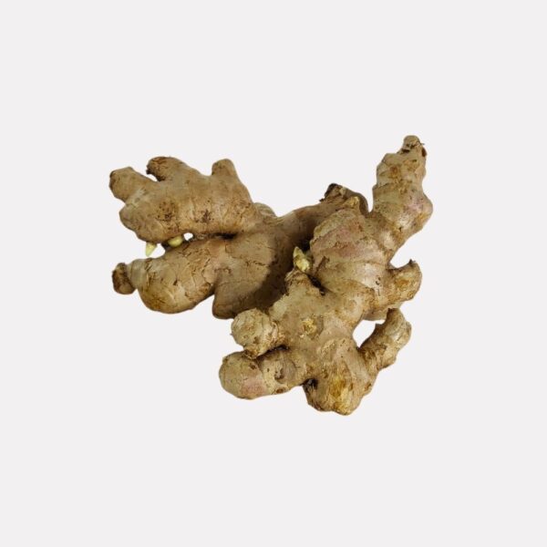 আদা Ginger