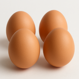 পোল্ট্রি মুরগীর ডিম Poultry Chicken Eggs