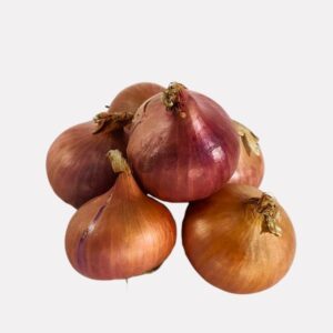 পেয়াজ Onion