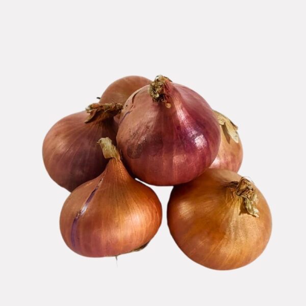 পেয়াজ Onion