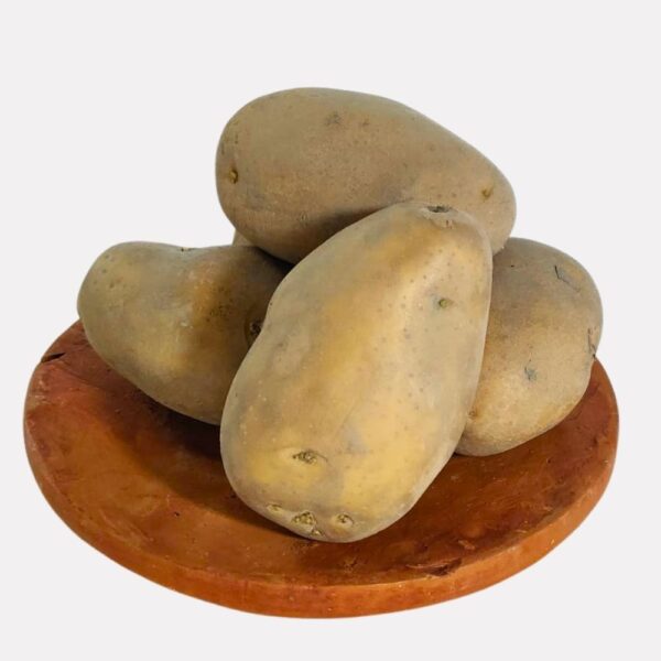 আলু Potato