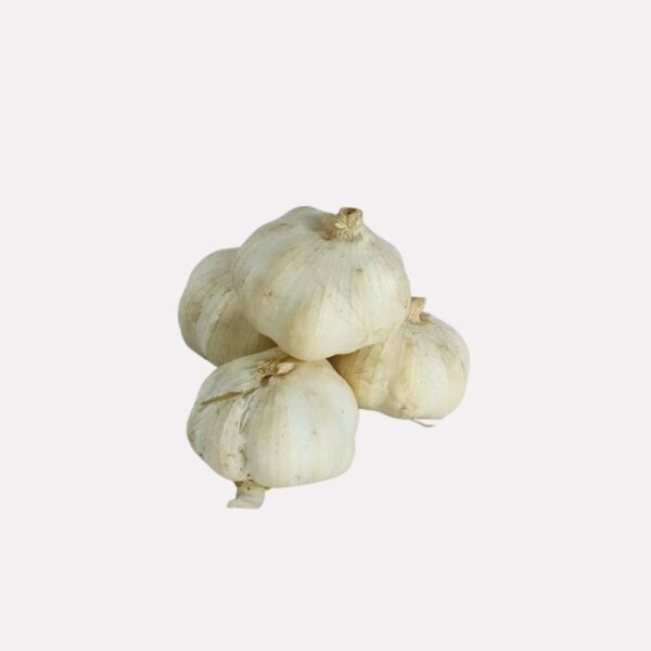 রসুন Garlic